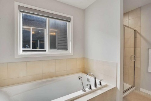 148 Savanna Close Ne, Calgary, AB - Indoor Photo Showing Bathroom