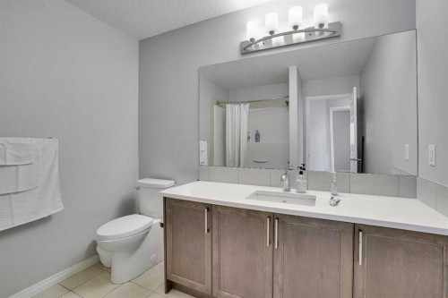 148 Savanna Close Ne, Calgary, AB - Indoor Photo Showing Bathroom