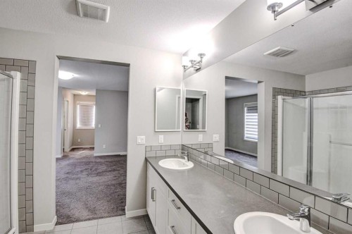 195 Masters Avenue Se, Calgary, AB - Indoor Photo Showing Bathroom