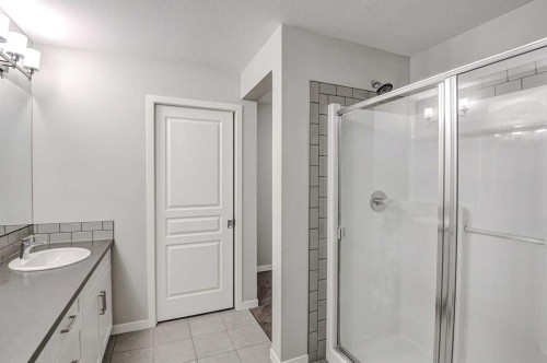 195 Masters Avenue Se, Calgary, AB - Indoor Photo Showing Bathroom