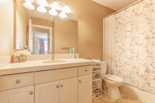 302-605 19 Street Se, High River, AB - Indoor Photo Showing Bathroom