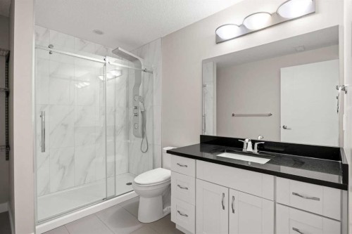 225 West Grove Way Sw, Calgary, AB - Indoor Photo Showing Bathroom