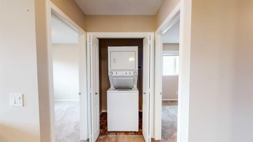 198 Skyview Point Road Ne, Calgary, AB - Indoor Photo Showing Laundry Room