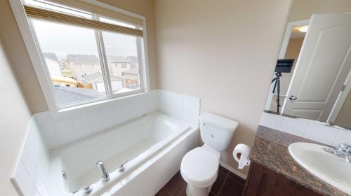198 Skyview Point Road Ne, Calgary, AB - Indoor Photo Showing Bathroom