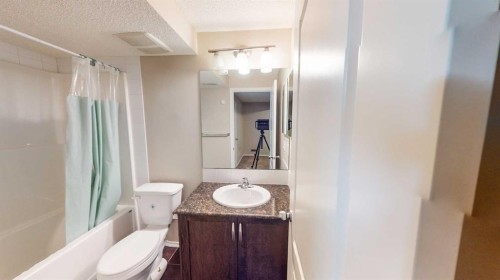 198 Skyview Point Road Ne, Calgary, AB - Indoor Photo Showing Bathroom
