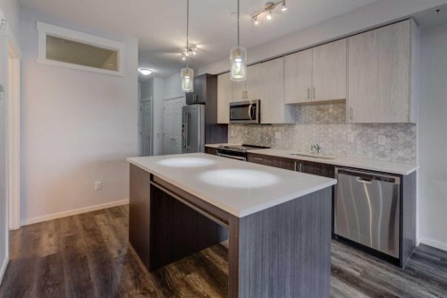 1105-298 Sage Meadows Park Nw, Calgary, AB - Indoor Photo Showing Kitchen With Double Sink