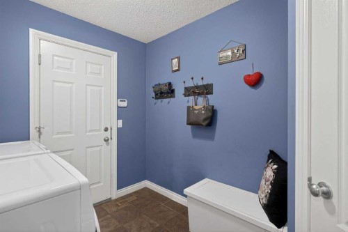 169 West Creek Boulevard, Chestermere, AB - Indoor Photo Showing Laundry Room