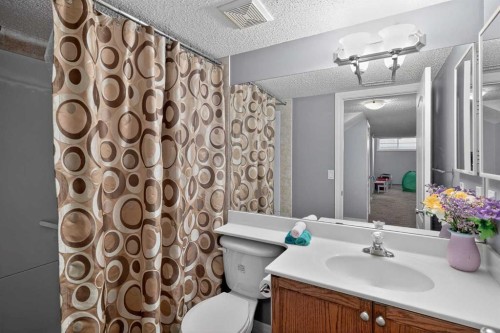 169 West Creek Boulevard, Chestermere, AB - Indoor Photo Showing Bathroom