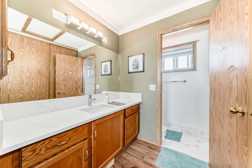 69 Applemont Place Se, Calgary, AB - Indoor Photo Showing Bathroom