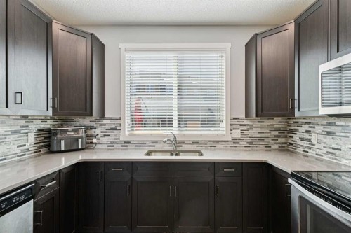 1119 Livingston Way Ne, Calgary, AB - Indoor Photo Showing Kitchen With Double Sink With Upgraded Kitchen
