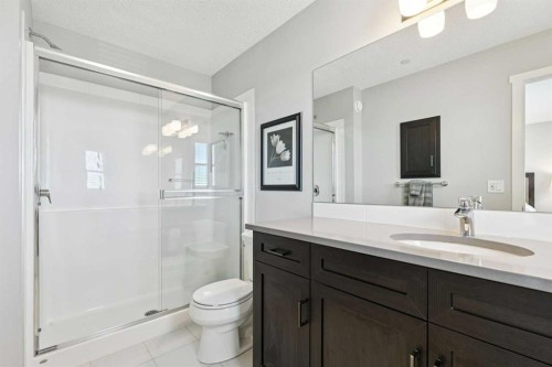 1119 Livingston Way Ne, Calgary, AB - Indoor Photo Showing Bathroom