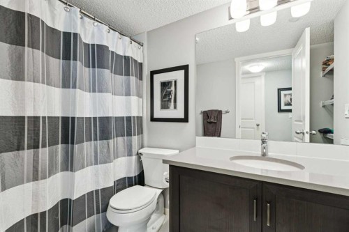 1119 Livingston Way Ne, Calgary, AB - Indoor Photo Showing Bathroom