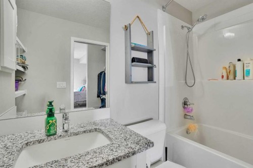 103-30 Mahogany Mews Se, Calgary, AB - Indoor Photo Showing Bathroom