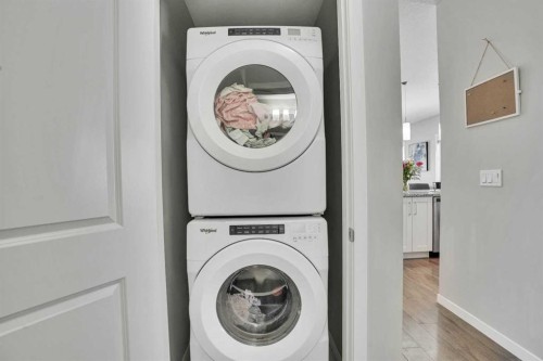 103-30 Mahogany Mews Se, Calgary, AB - Indoor Photo Showing Laundry Room