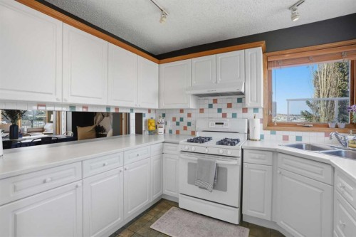 131 Edgebrook Circle Nw, Calgary, AB - Indoor Photo Showing Kitchen With Double Sink