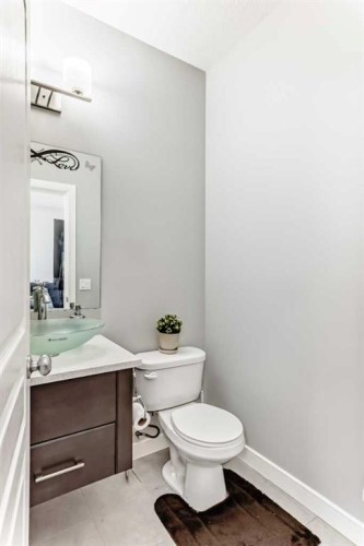 392 Redstone Drive Ne, Calgary, AB - Indoor Photo Showing Bathroom