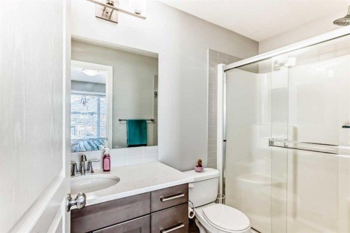 392 Redstone Drive Ne, Calgary, AB - Indoor Photo Showing Bathroom