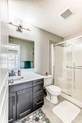 392 Redstone Drive Ne, Calgary, AB - Indoor Photo Showing Bathroom