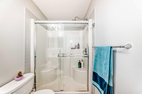 392 Redstone Drive Ne, Calgary, AB - Indoor Photo Showing Bathroom
