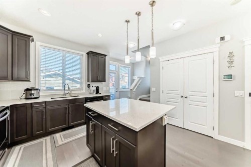 392 Redstone Drive Ne, Calgary, AB - Indoor Photo Showing Kitchen With Upgraded Kitchen