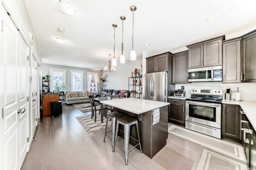 392 Redstone Drive Ne, Calgary, AB - Indoor Photo Showing Kitchen With Upgraded Kitchen