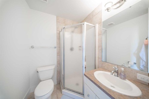 39 Slopes Grove Sw, Calgary, AB - Indoor Photo Showing Bathroom