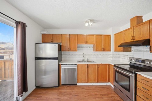 19 Appletree Close Se, Calgary, AB - Indoor Photo Showing Kitchen With Double Sink