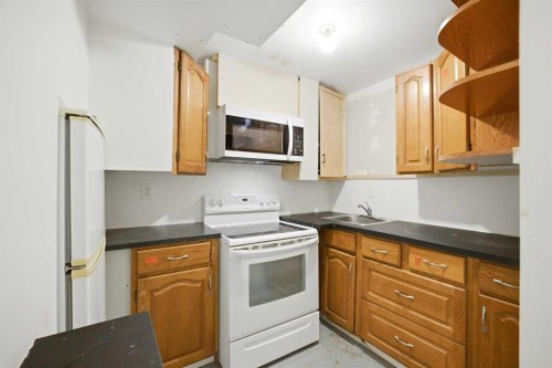 19 Appletree Close Se, Calgary, AB - Indoor Photo Showing Kitchen