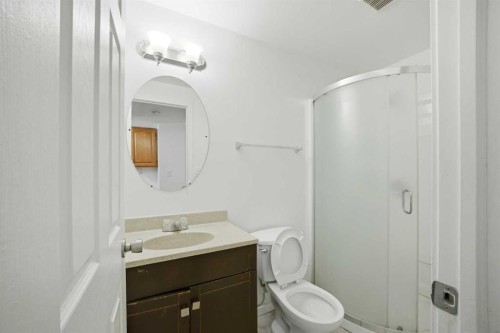 19 Appletree Close Se, Calgary, AB - Indoor Photo Showing Bathroom