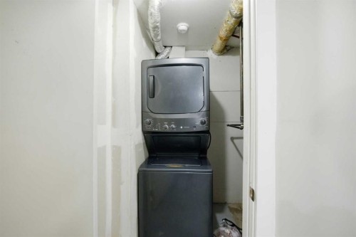 19 Appletree Close Se, Calgary, AB - Indoor Photo Showing Laundry Room