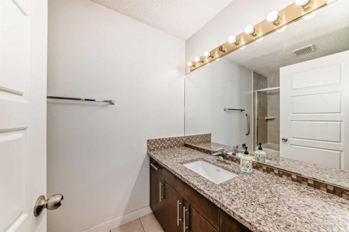 130 Pinemeadow Road Ne, Calgary, AB - Indoor Photo Showing Bathroom
