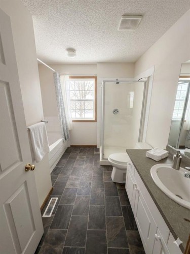 746 Martindale Boulevard Ne, Calgary, AB - Indoor Photo Showing Bathroom