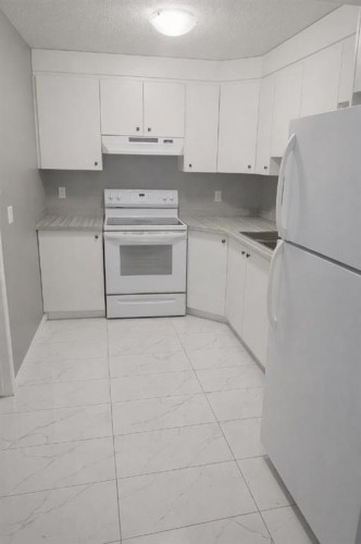 746 Martindale Boulevard Ne, Calgary, AB - Indoor Photo Showing Kitchen