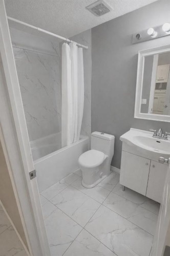 746 Martindale Boulevard Ne, Calgary, AB - Indoor Photo Showing Bathroom