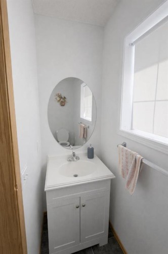 746 Martindale Boulevard Ne, Calgary, AB - Indoor Photo Showing Bathroom