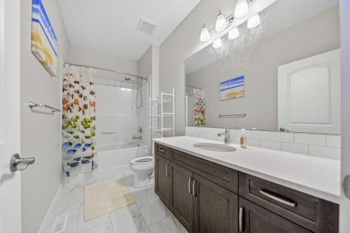 234 West Grove Point Sw, Calgary, AB - Indoor Photo Showing Bathroom