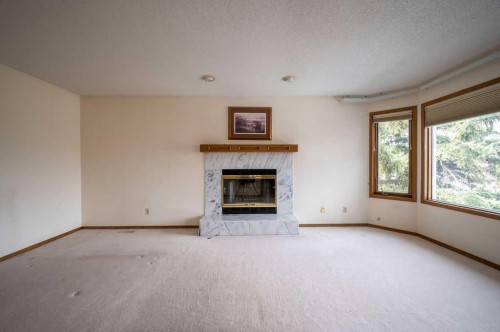 207 Shawnee Mews Sw, Calgary, AB - Indoor Photo Showing Living Room With Fireplace