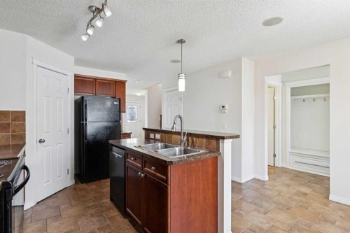 200 Silverado Drive Sw, Calgary, AB - Indoor Photo Showing Kitchen With Double Sink