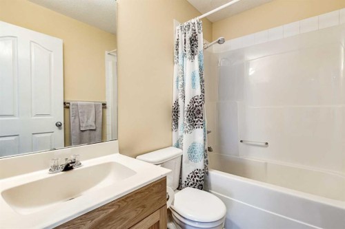 94 New Brighton Circle Se, Calgary, AB - Indoor Photo Showing Bathroom