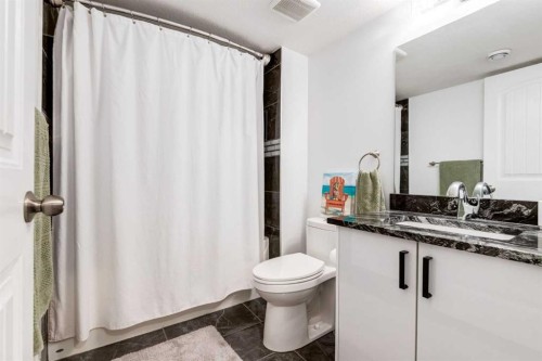 305 Kinniburgh Cove, Chestermere, AB - Indoor Photo Showing Bathroom