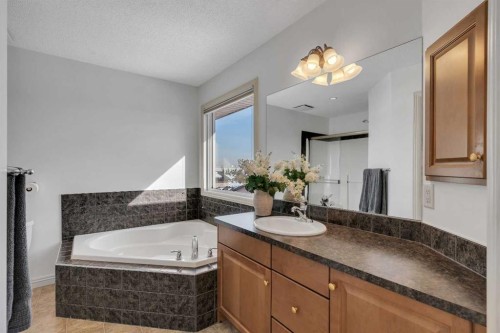 87 Prestwick Close Se, Calgary, AB - Indoor Photo Showing Bathroom