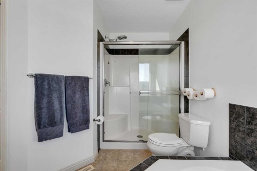 87 Prestwick Close Se, Calgary, AB - Indoor Photo Showing Bathroom