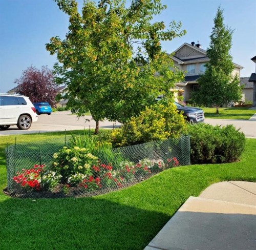 103 Kincora View Nw, Calgary, AB - Outdoor