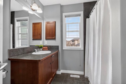98 Evanscove Circle Nw, Calgary, AB - Indoor Photo Showing Bathroom