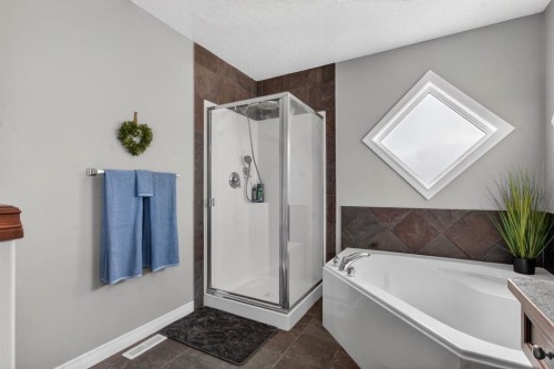 98 Evanscove Circle Nw, Calgary, AB - Indoor Photo Showing Bathroom