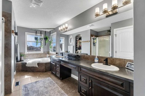 45 Hanson Hollow Ne, Langdon, AB - Indoor Photo Showing Bathroom