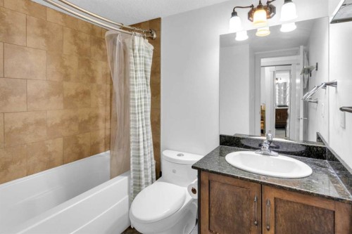 204-931 2 Avenue Nw, Calgary, AB - Indoor Photo Showing Bathroom