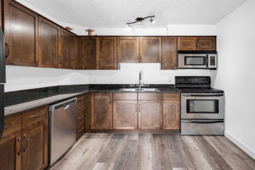 204-931 2 Avenue Nw, Calgary, AB - Indoor Photo Showing Kitchen With Double Sink