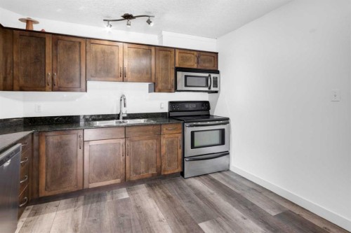 204-931 2 Avenue Nw, Calgary, AB - Indoor Photo Showing Kitchen With Double Sink