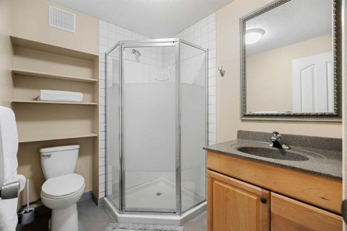 14 Sun Harbour Way Se, Calgary, AB - Indoor Photo Showing Bathroom